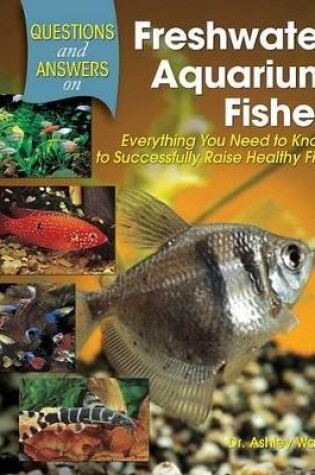 Cover of Questions and Answers on Freshwater Aquarium Fishes
