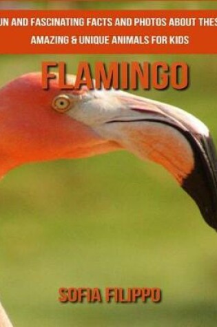 Cover of Flamingo