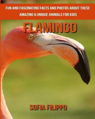 Book cover for Flamingo