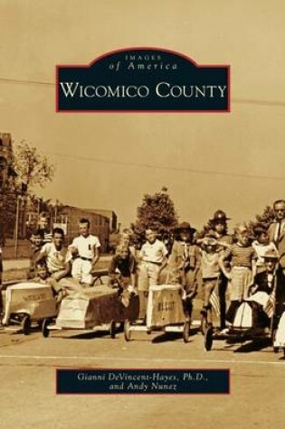 Cover of Wicomico County