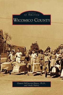 Book cover for Wicomico County