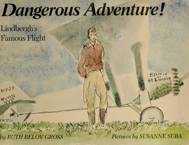 Book cover for Dangerous Adventure!