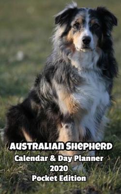 Book cover for Australian Shepherd Calendar & Day Planner 2020 Pocket Edition