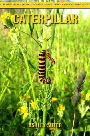 Cover of Caterpillar