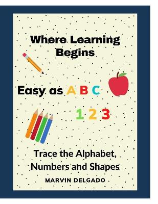 Book cover for Where Learning Begins