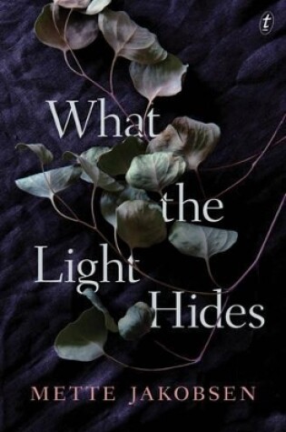 Cover of What the Light Hides