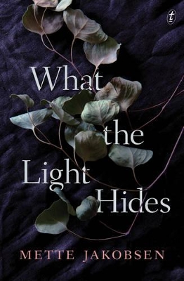 Book cover for What the Light Hides