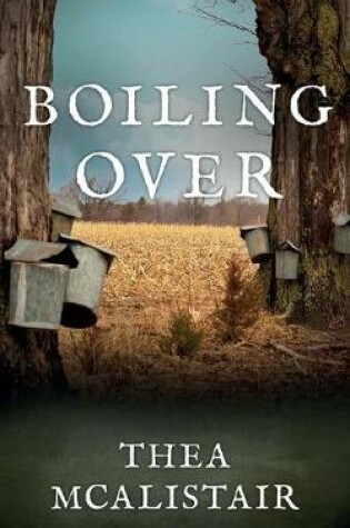 Cover of Boiling Over