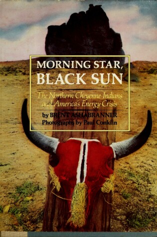 Cover of Morning Star, Black Sun