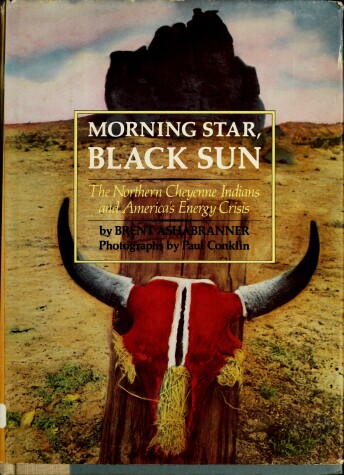 Book cover for Morning Star, Black Sun