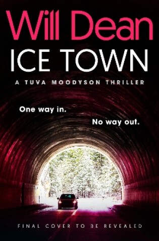 Cover of Ice Town