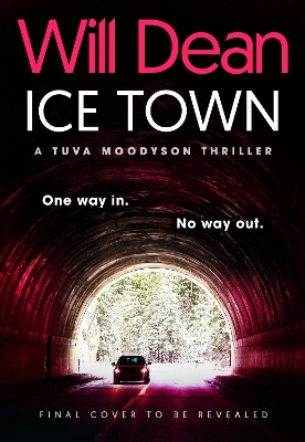Book cover for Ice Town