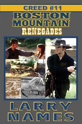 Book cover for Boston Mountain Renegades