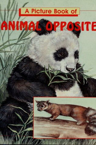 Cover of A Picture Book of Animal Opposites