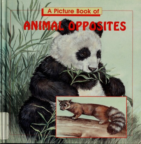 Book cover for A Picture Book of Animal Opposites