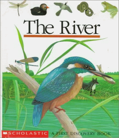 Book cover for The River