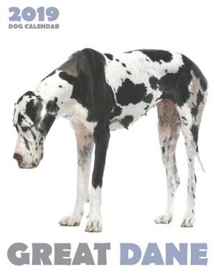 Book cover for Great Dane 2019 Dog Calendar