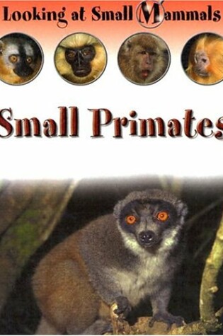 Cover of Small Primates