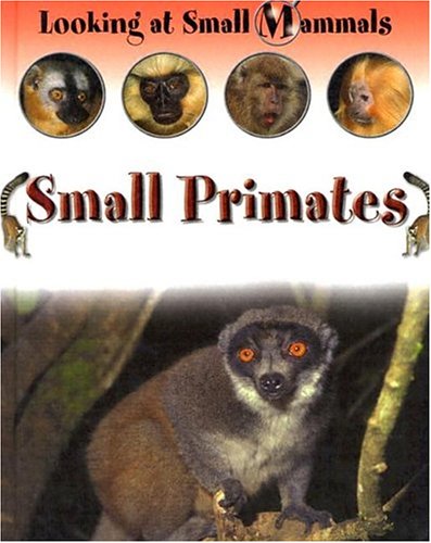 Book cover for Small Primates