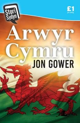 Book cover for Stori Sydyn: Arwyr Cymru