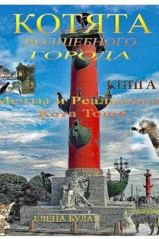 Cover of Котята Волшебного Города. Книга 2