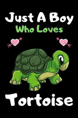 Book cover for Just a boy who loves tortoise