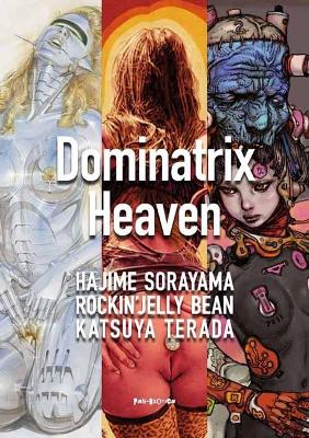 Book cover for Dominatrix Heaven