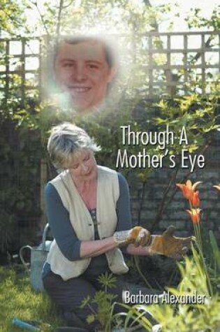 Cover of Through A Mother's Eye