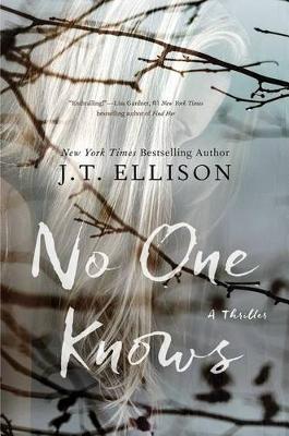 Book cover for No One Knows