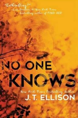 Cover of No One Knows