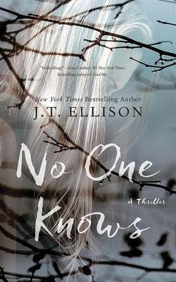 Book cover for No One Knows