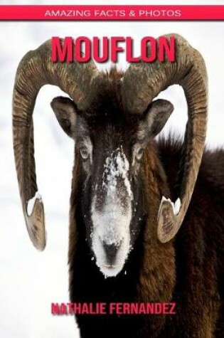 Cover of Mouflon