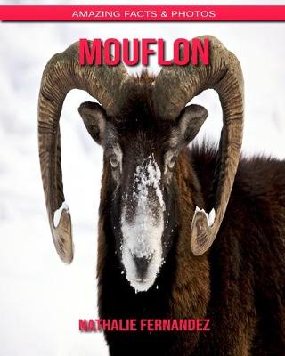 Book cover for Mouflon