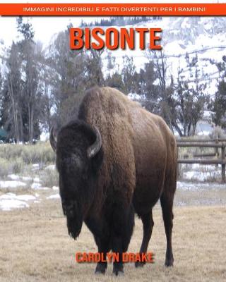 Book cover for Bisonte