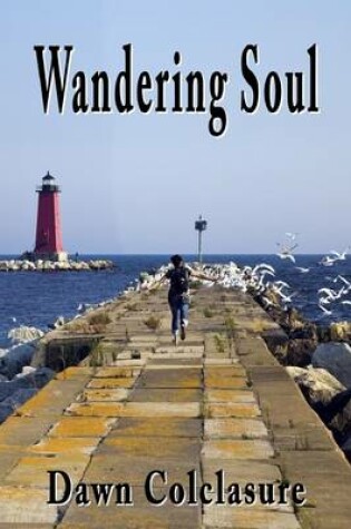 Cover of Wandering Soul