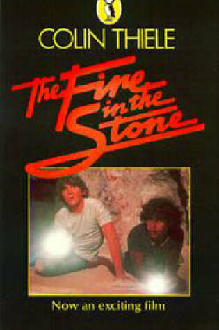 Cover of The Fire in the Stone