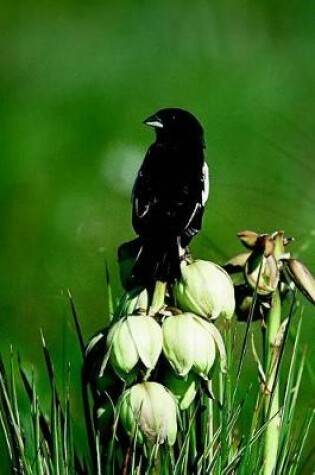 Cover of Lark Bunting (Calamospiza Melanocorys) Bird Journal