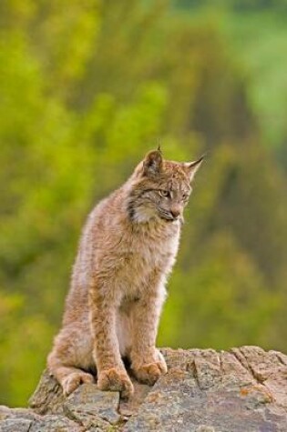 Cover of Young Canadian Lynx Journal