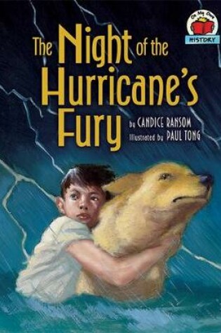 Cover of The Night of the Hurricane's Fury