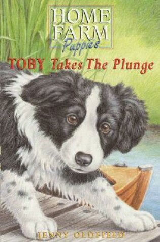 Cover of Toby Takes The Plunge