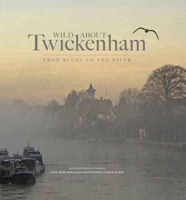 Book cover for Wild About Twickenham