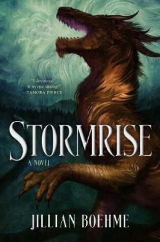 Cover of Stormrise