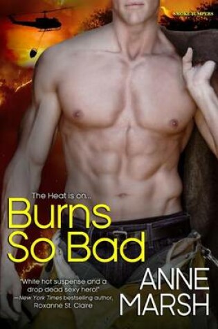 Cover of Burns So Bad