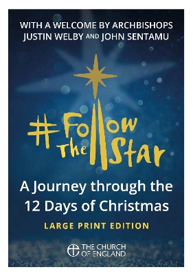 Book cover for Follow the Star (single copy large print)