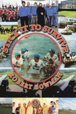 Cover of Stick It to Survive