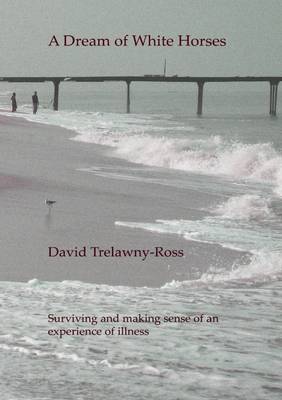 Book cover for A Dream of White Horses: Surving and Making Sense of an Experience of Illness