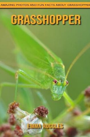 Cover of Grasshopper