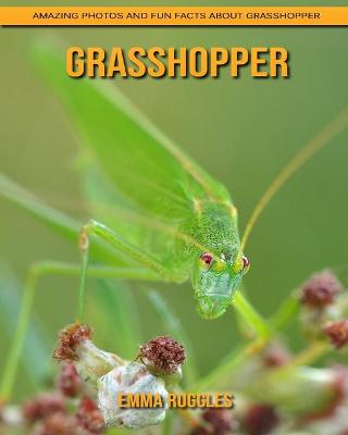 Book cover for Grasshopper