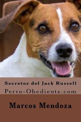 Book cover for Secretos del Jack Russell