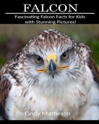 Book cover for Falcon